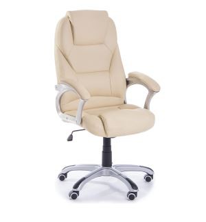 Y-2765 China Ergonimic Leather Executive Office Chair