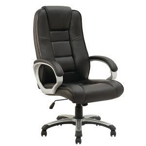 Y-2886 High Back Swivel Office Chair with Painting Armrest